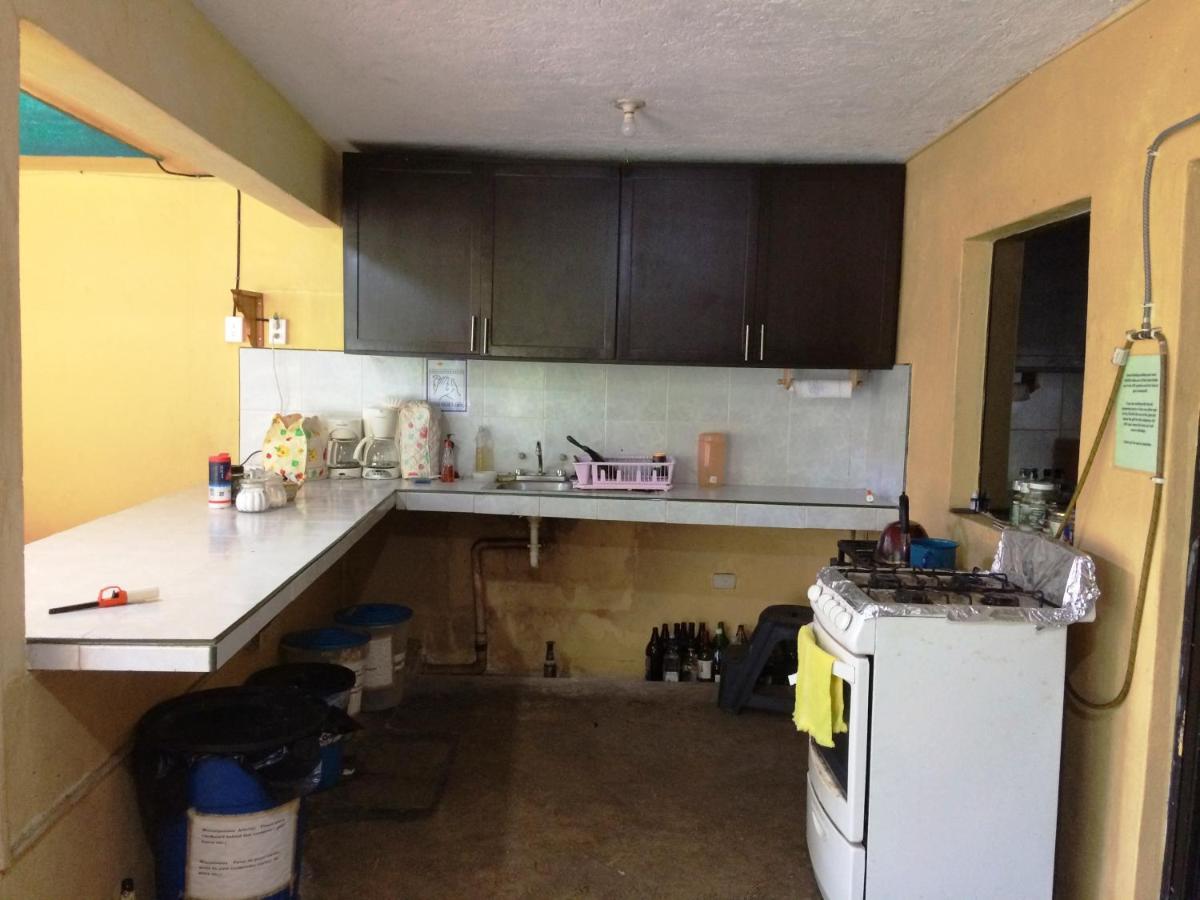 Amigos Hostel Cozumel Luaran gambar