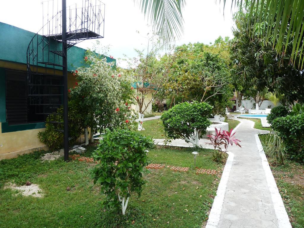 Amigos Hostel Cozumel Luaran gambar