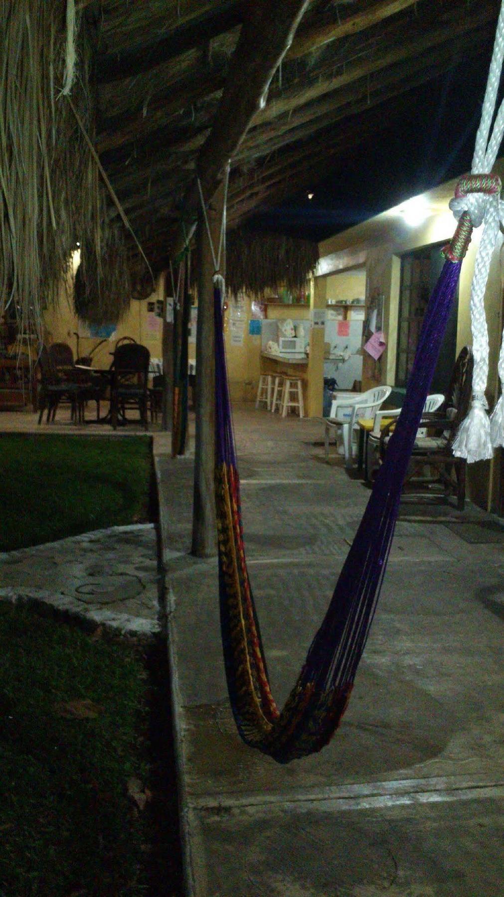 Amigos Hostel Cozumel Luaran gambar