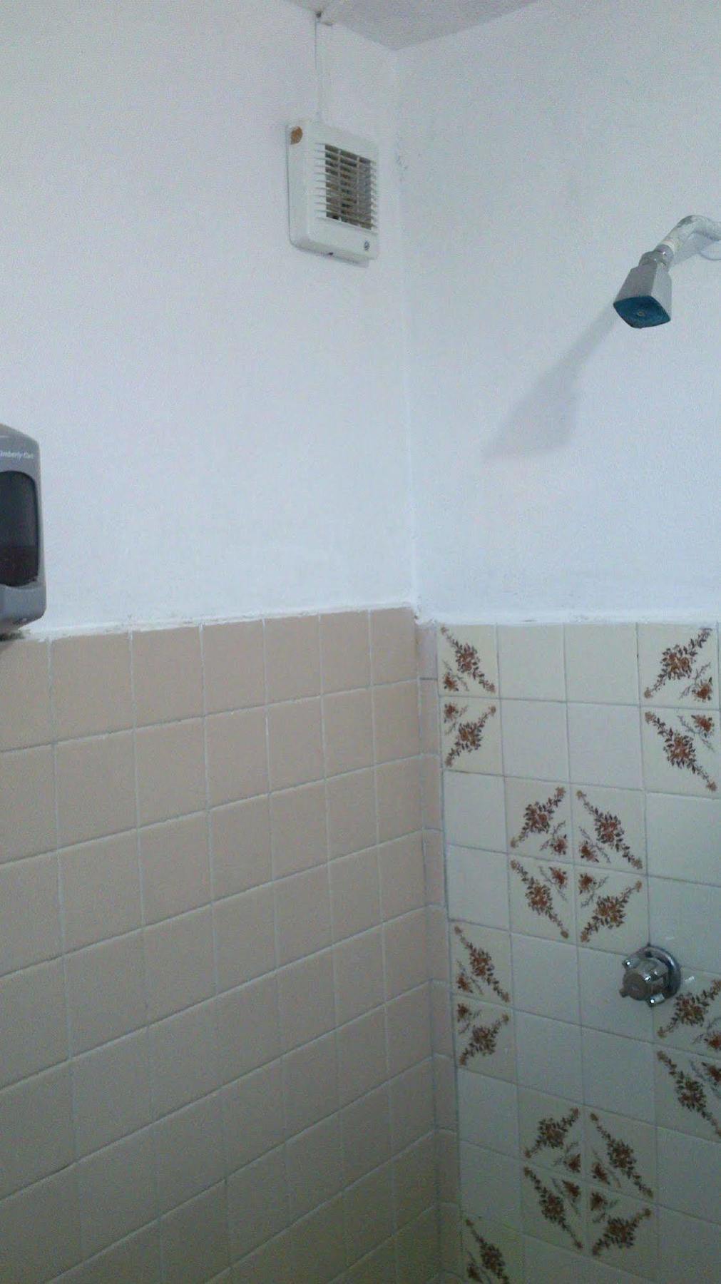 Amigos Hostel Cozumel Luaran gambar