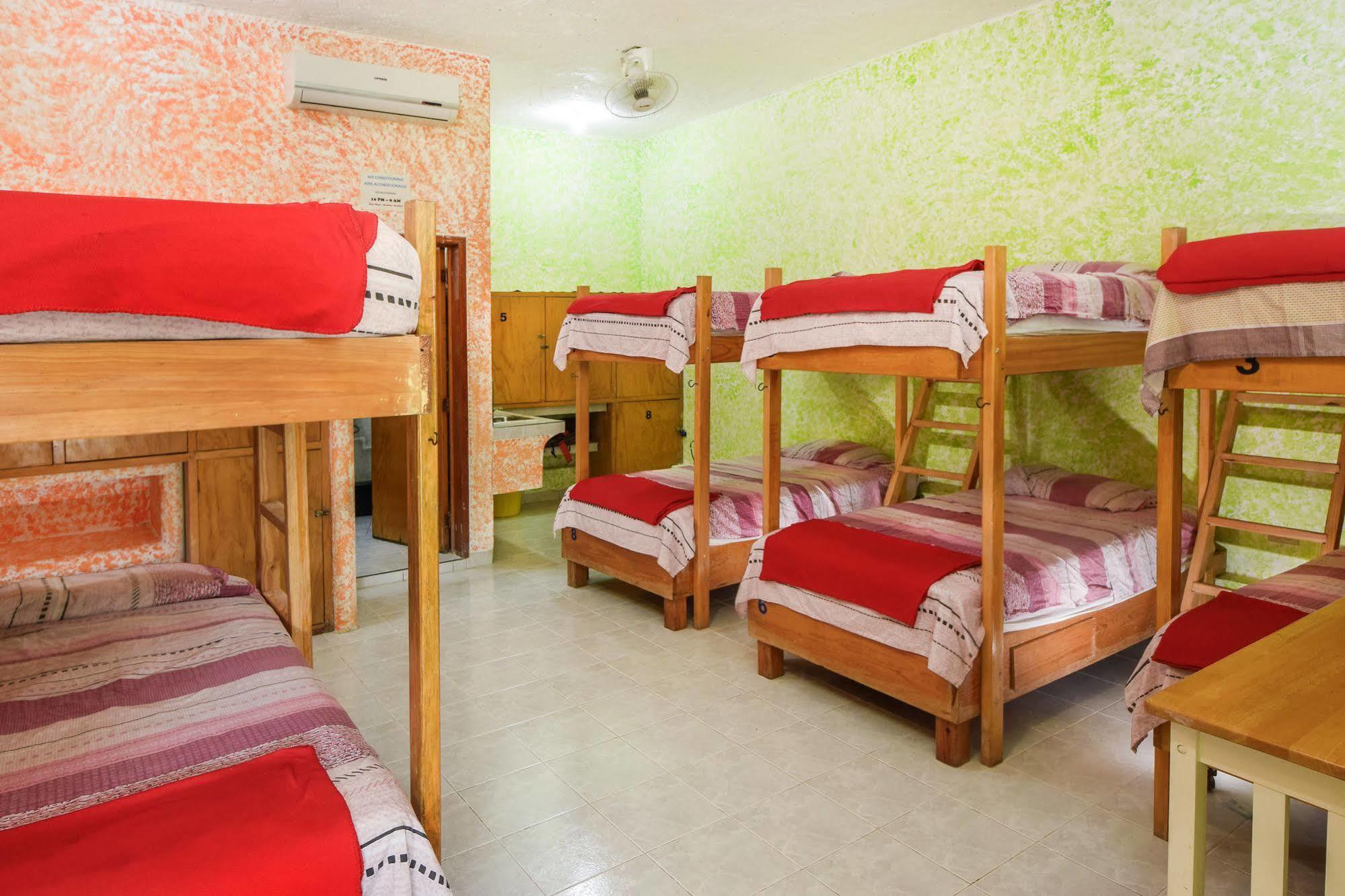 Amigos Hostel Cozumel Katil Asrama gambar