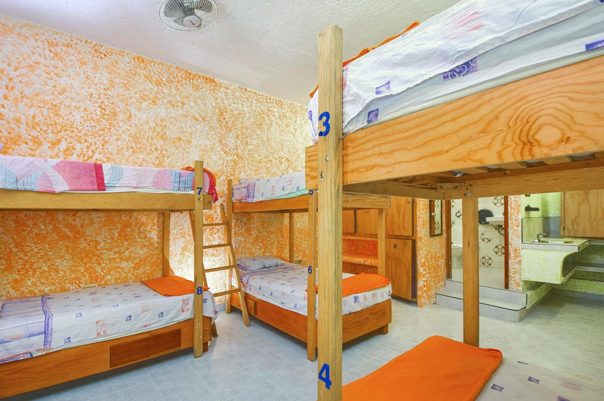 Amigos Hostel Cozumel Luaran gambar