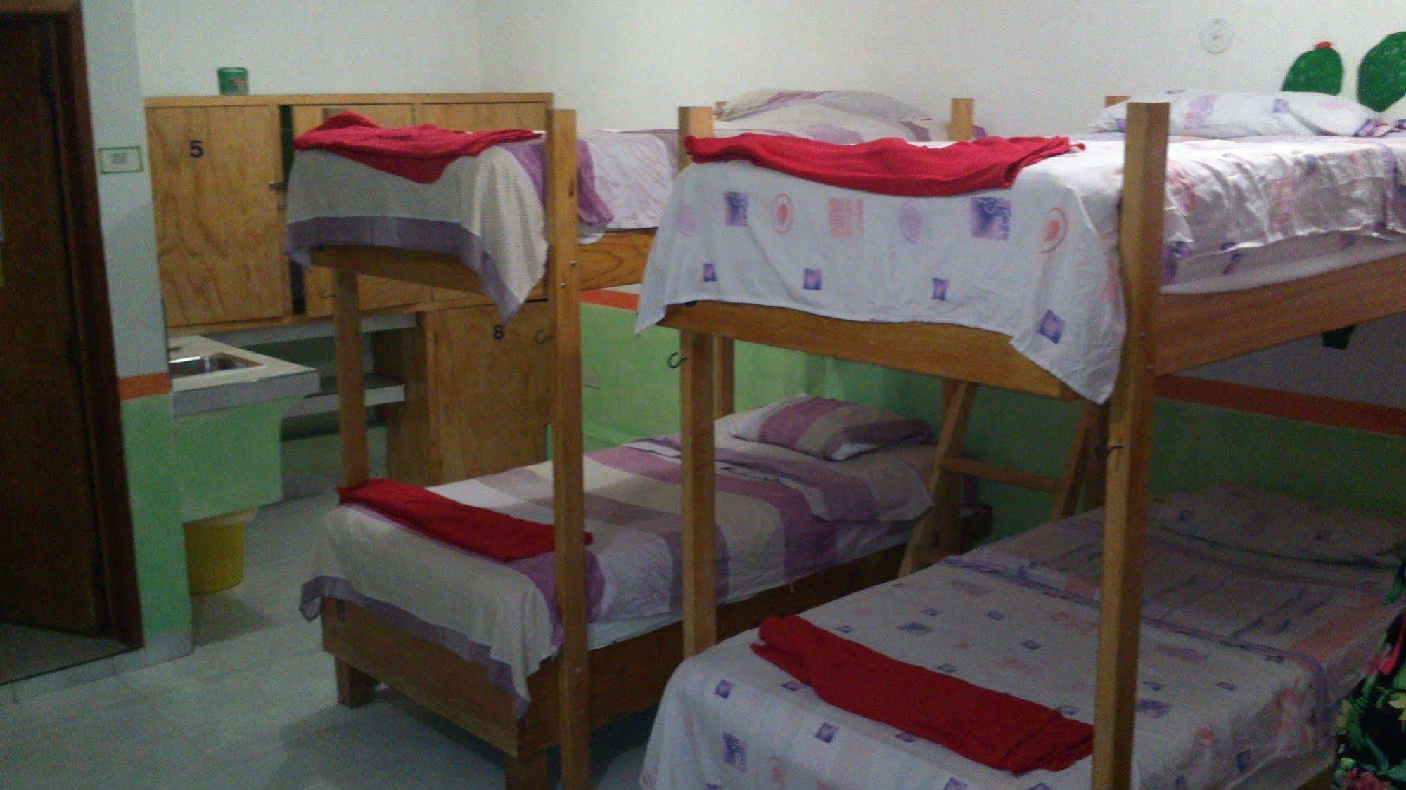 Amigos Hostel Cozumel Katil Asrama gambar